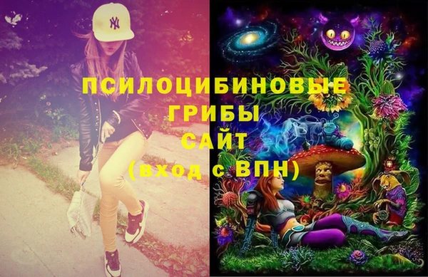 стаф Корсаков
