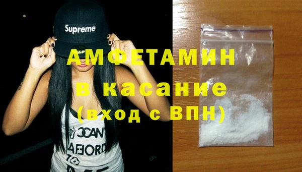 стаф Корсаков
