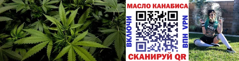 Купить  Перевоз  ТГК жижа 