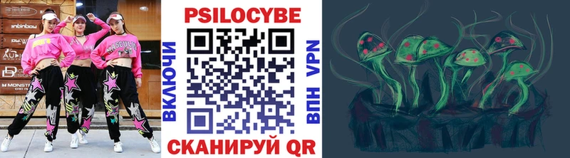 Псилоцибиновые грибы Psilocybine cubensis  Купить  Перевоз 